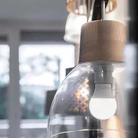 *les Sapins* Cocooning - Idealement Situe - Balcon + Parking アパート リオン